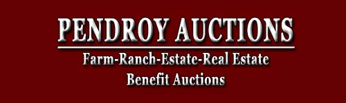 Pendroy Auctions Logo